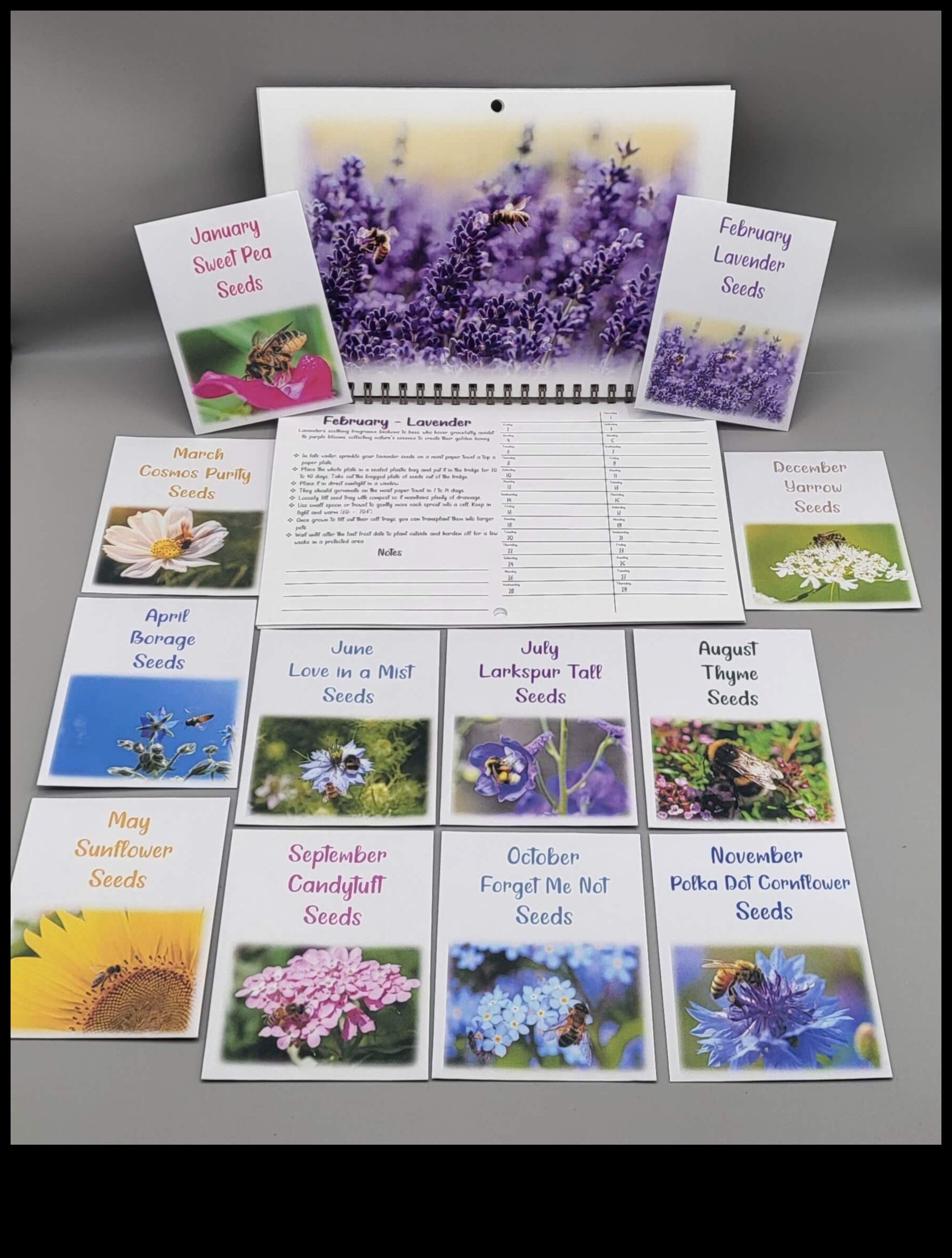 Ziedu uzplaukums: botāniskas dāvanas viņas dabas iedvesmotajam patvērumam