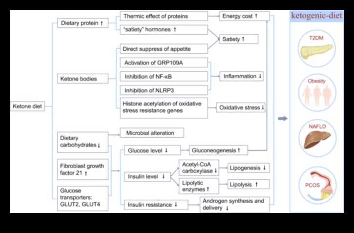 Ģenētikas ietekme uz keto diētas atbildēm