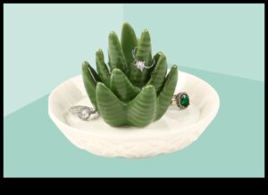 Botanical Bounty: zaļas dāvanas augu entuziastiem