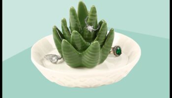 Botanical Bounty: zaļas dāvanas augu entuziastiem