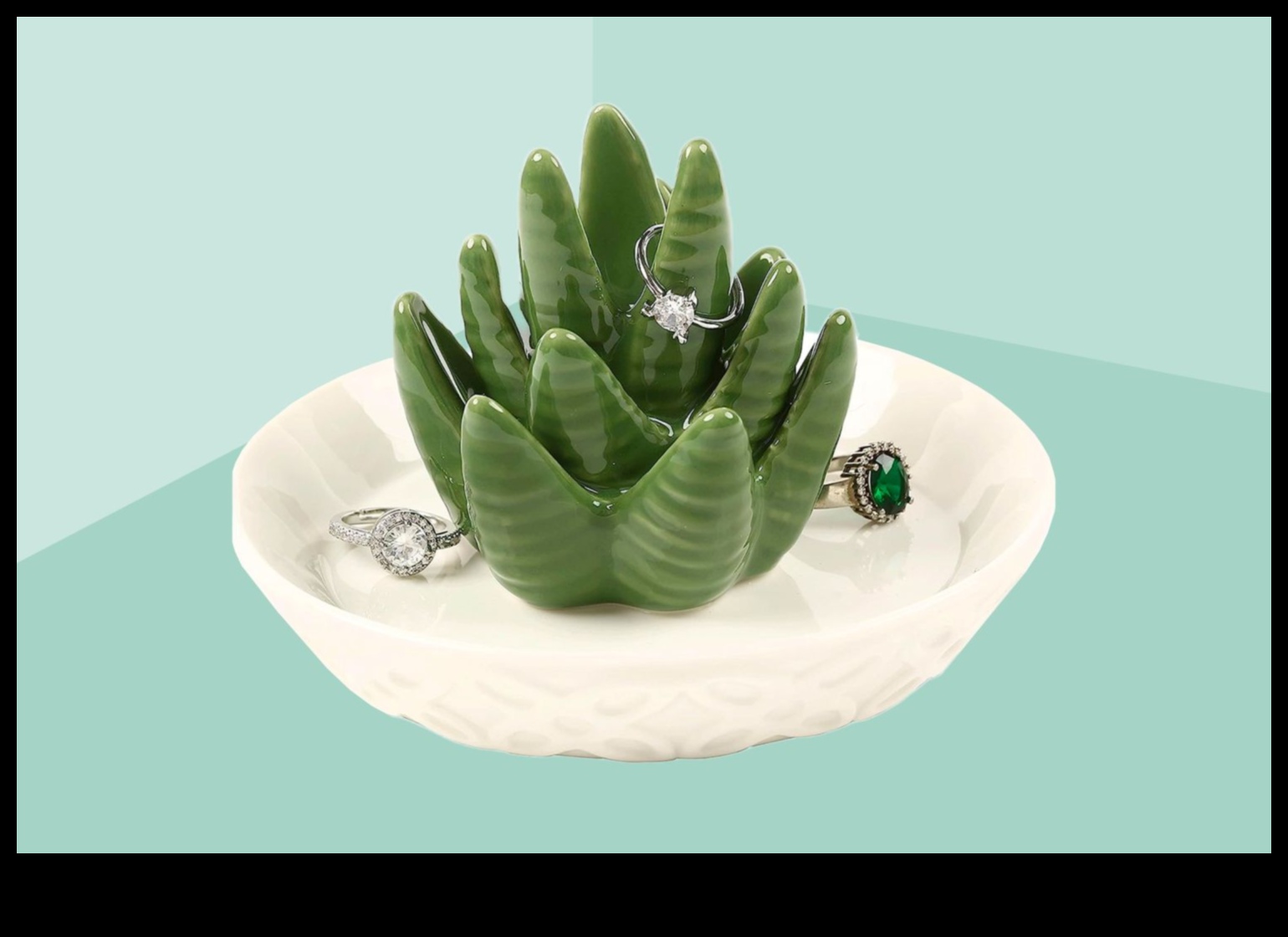 Botanical Bounty: zaļas dāvanas augu entuziastiem