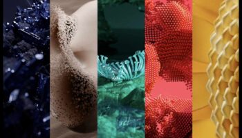 Matu krāsu tendences 2025. gadā: ieskatieties krāsu nākotnē